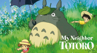 Totoro - A varzserd titka
